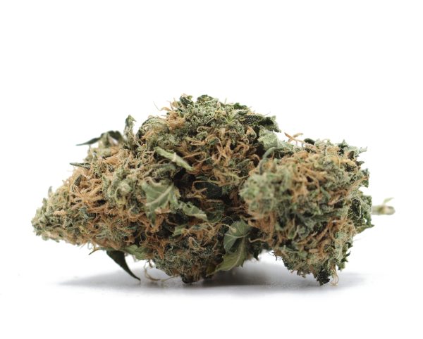 Gelato (AA+) $3.17/gram