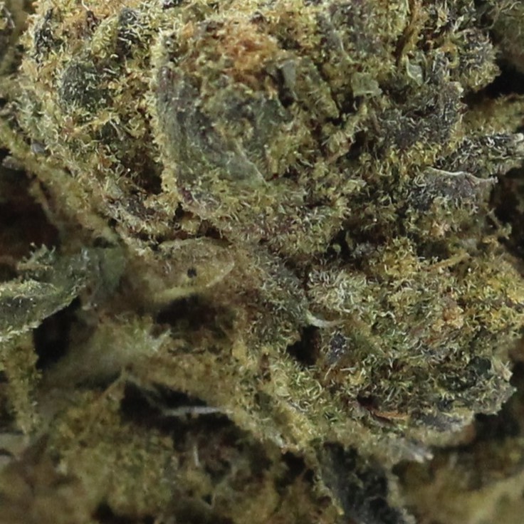 Silver Haze (AA+) $2.78/gram - Image 2