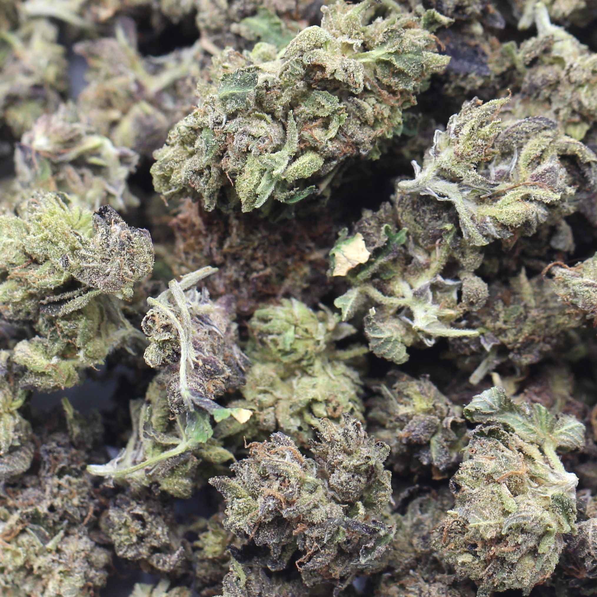 Blue Dream Smalls (AAA)$3.21/gram - Image 2