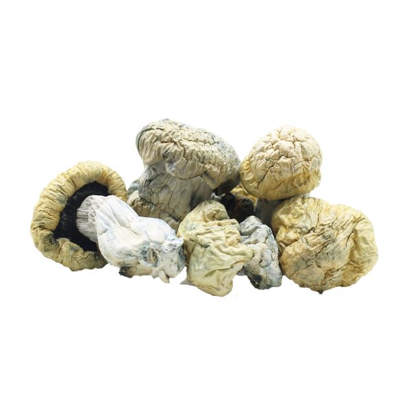 Avalanche Shrooms