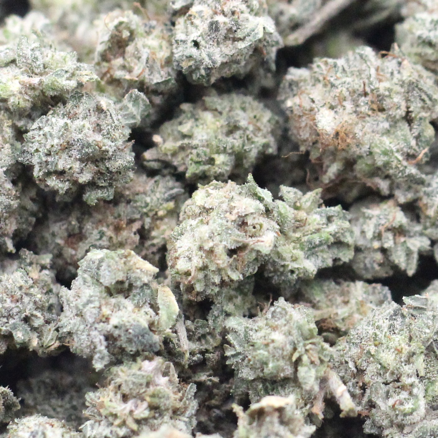 Gas Mask Smalls (AAA+) $3.64/gram - Image 2
