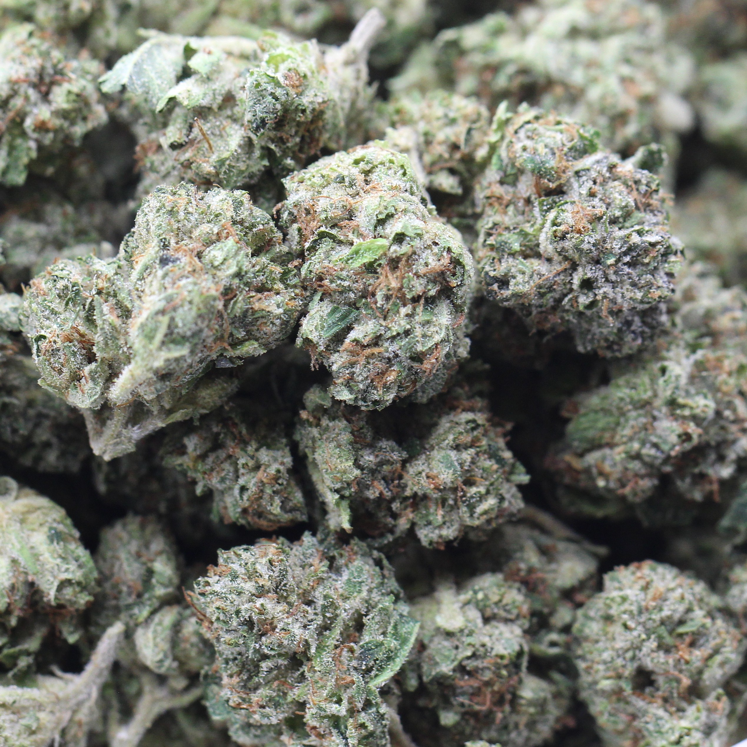 Pink Death Smalls (AAAA) $4.89/Gram - Image 2