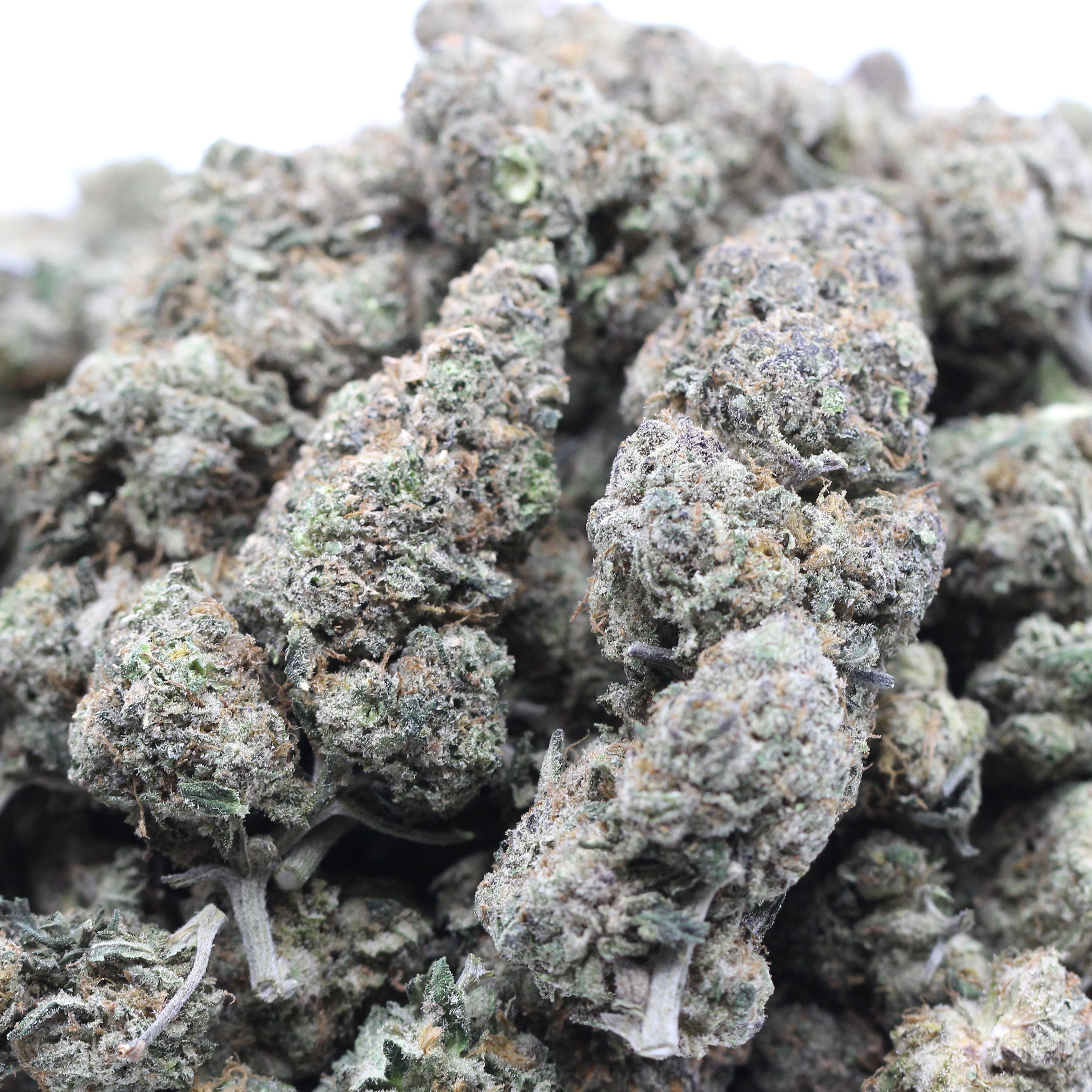Candy Kush Smalls (AAAA+) $5.00/gram - Image 2