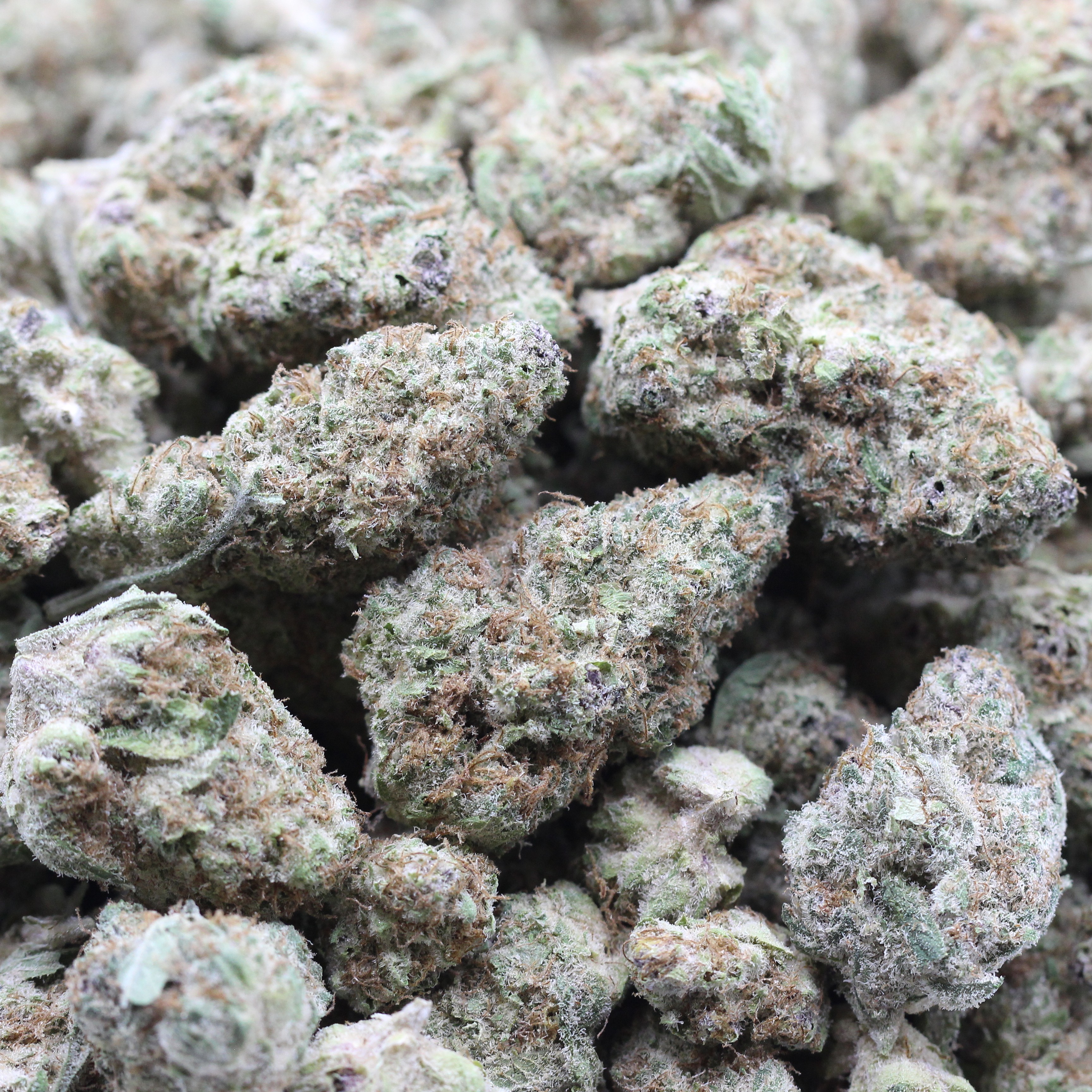 Cherry Smalls (AAAA+) $5.00/gram - Image 2